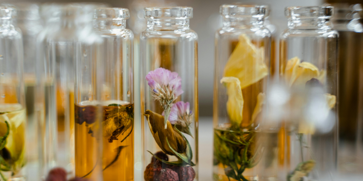 دليل-العطور-الشامل-لتختار-الأنسب-لك