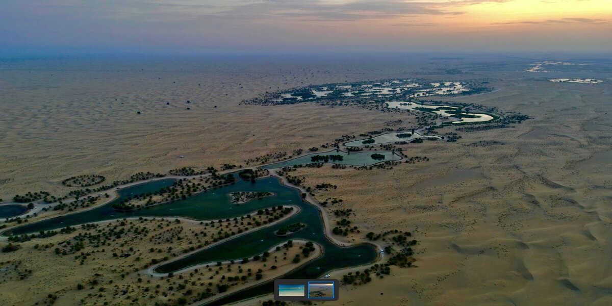 nature-in-the-uae:-a-sight-beyond-deserts-and-skyscrapers